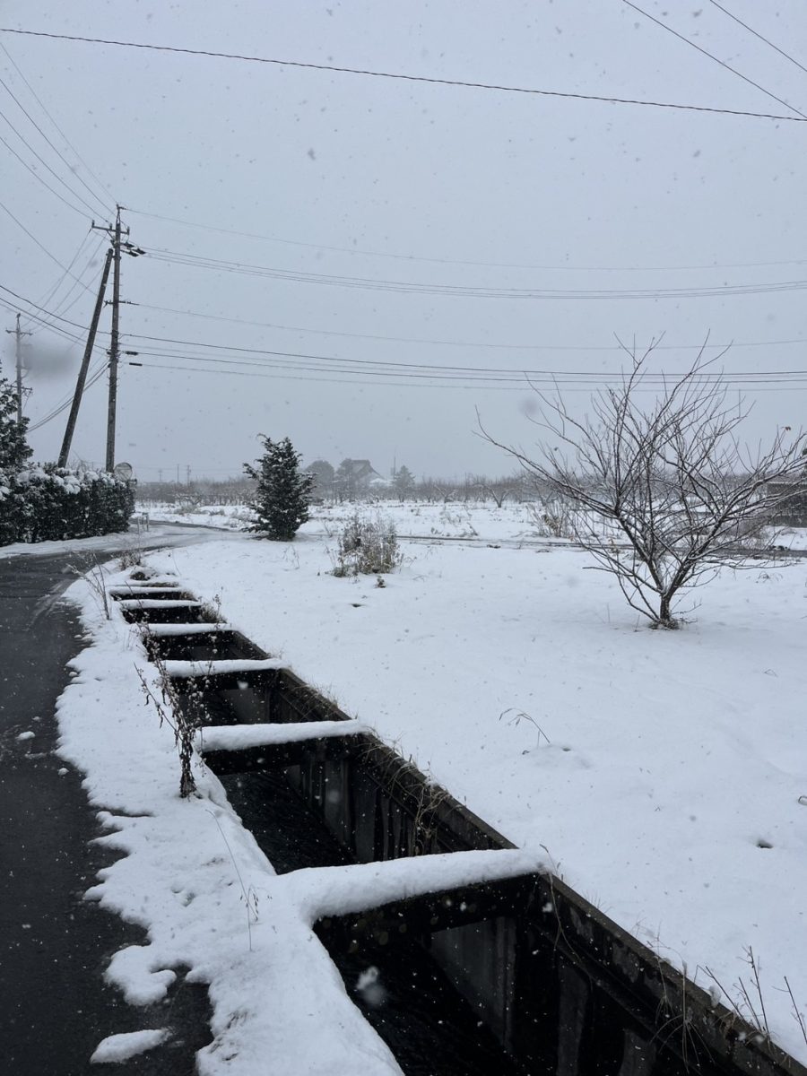 長野にも雪が降りました☃